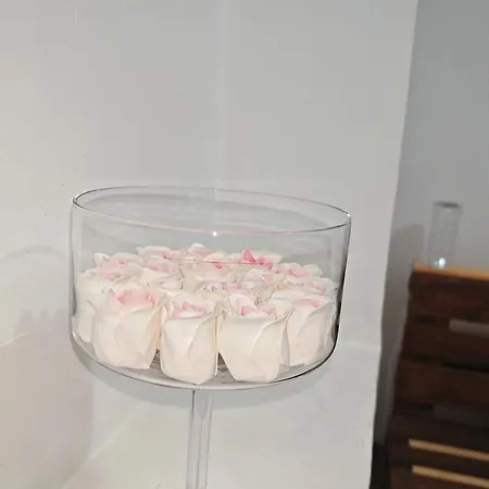 Casa Boemia Apartment Brasov