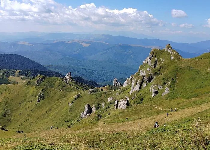 Casa Boemia * Brasov
