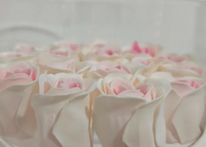 Apartment Casa Boemia *