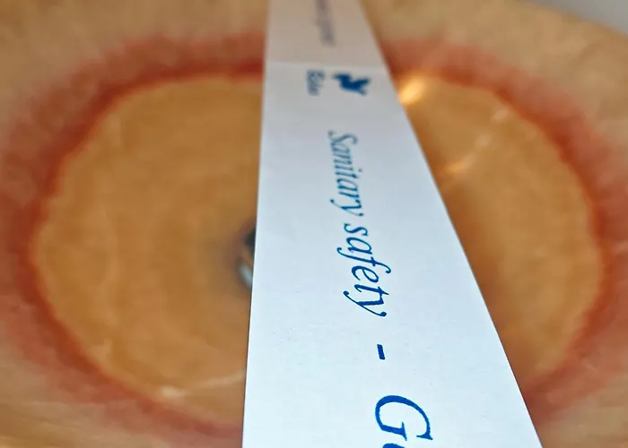 Апартаменты Casa Boemia Брашов